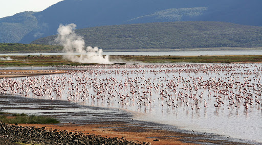 Lake-Bogoria
