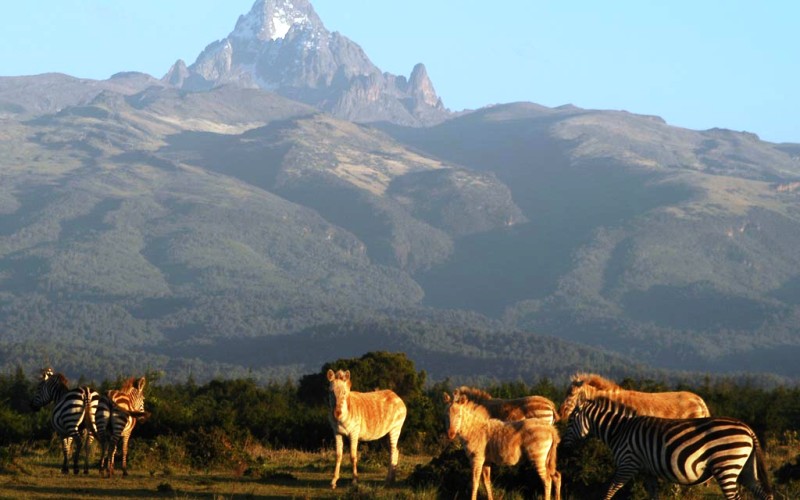 Visit-Mount-Kenya-National-Park-in-2021